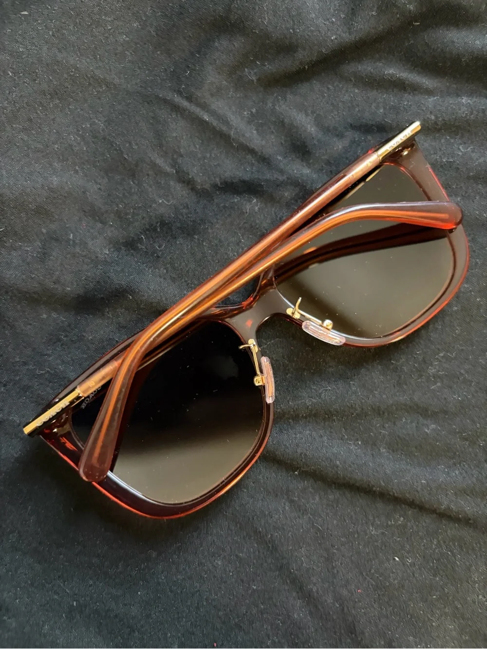 COACH Coach C9206 8345 Sunglasses Transparent Amber